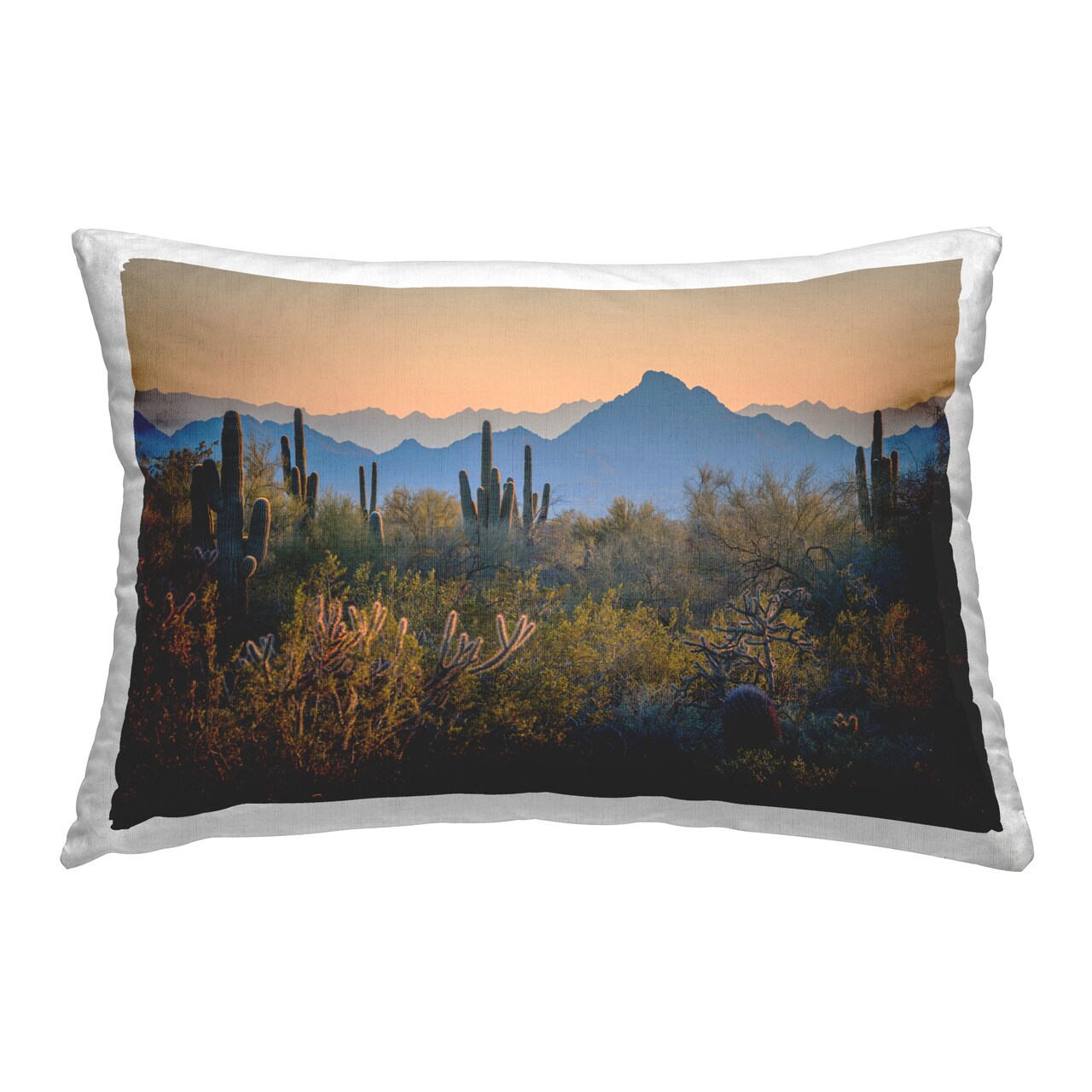Contrasting Desertscape Scene Decorative Printed Throw Pillow Design by Marty Hulsebos, 14 x 7 x 20